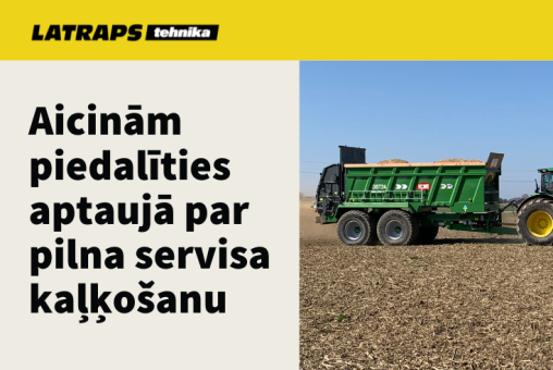article-image